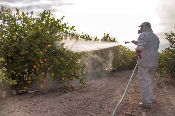 Best Pest Prevention Services  in Barneveld, WI